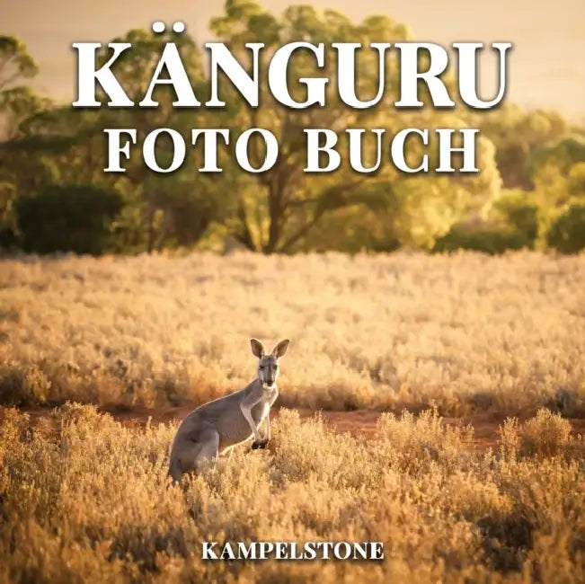 Kanguru Foto Buch: 100 susse Bilder, die in Australien und Neuguinea beheimatet sind - perfektes Geschenk- oder Kaffeetischbuch by Toon Tellegen