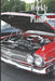 Weekly Planner, Month, Week, Day Organizer by Crazy about Cars