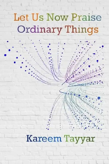Let Us Now Praise Ordinary Things by Kareem Tayyar