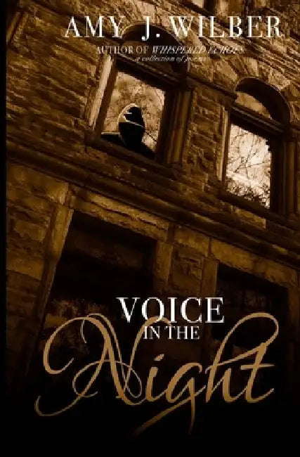 Voice in the Night by Amy J. Wilber