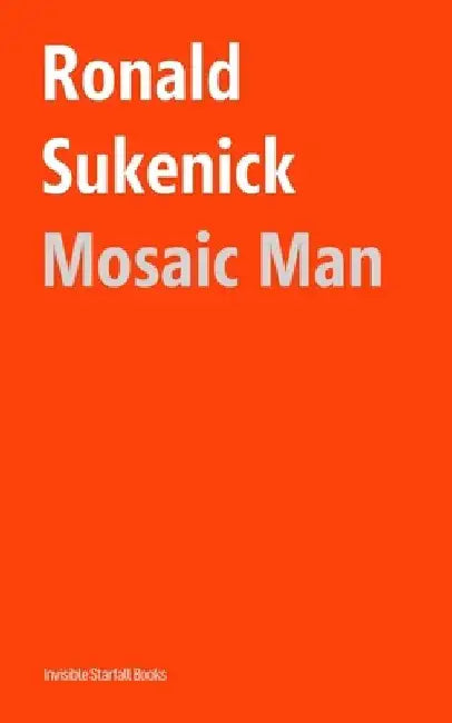 Mosaic Man by Ronald Sukenick