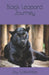 Black Leopard Journey by Jay F. Cabanillas