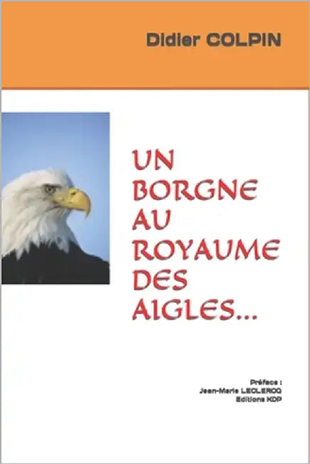 Un Borgne Au Royaume Des Aigles... by LeClercq, Jean-Marie