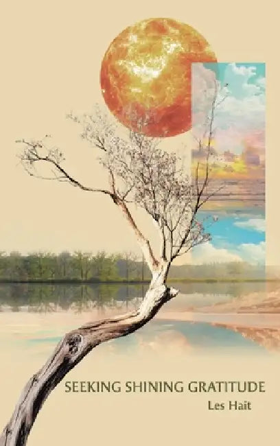 Seeking Shining Gratitude by Les Hait