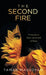 The Second Fire: Perimenopause, Power and the End of Shame by Tamar Massoyan