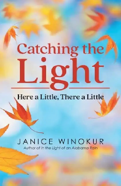 Catching the Light: Here a Little, There a Little by Janice Winokur