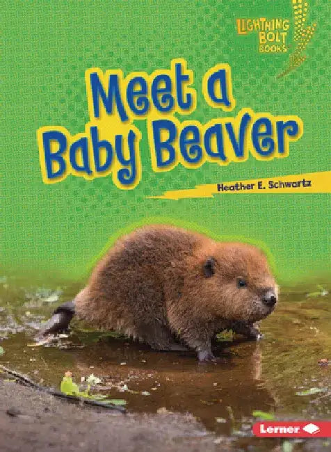 Meet a Baby Beaver by Heather E. Schwartz