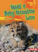 Meet a Baby Mountain Lion by Whitney Sanderson