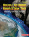 Double Asteroid Redirection Test: Defending Earth from Asteroids by Diane Bailey