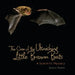 The Case of the Vanishing Little Brown Bats: A Scientific Mystery by Sandra Markle