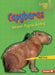 Capybaras: Nature's Biggest Rodent by Walt Brody