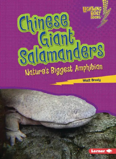 Chinese Giant Salamanders: Nature's Biggest Amphibian by Walt Brody