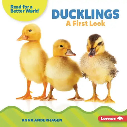 Ducklings: A First Look by Anna Anderhagen