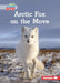 Arctic Fox on the Move by Katie Peters