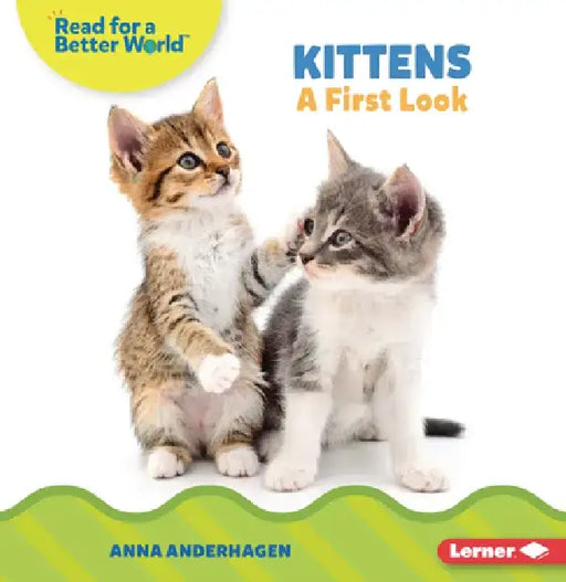 Kittens: A First Look by Anna Anderhagen