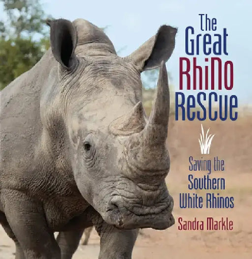 The Great Rhino Rescue: Saving the Southern White Rhinos by Sandra Markle