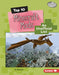 Top 10 Minecraft Mods: An Unofficial List by Ty Chapman