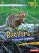 Beavers: Freshwater Engineers by Heather E. Schwartz