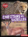 Cheetahs vs. Gazelles: Food Chain Fights by Sarah Roggio