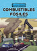 Combustibles Fósiles (Fossil Fuels): Una Guía Gráfica (a Graphic Guide) by Stephanie Loureiro