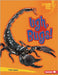 Ugh, Bugs! by James, India
