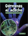 Gérmenes Al Acecho: Escribir, Simplificar Y Evaluar Expresiones by Barker, Lori