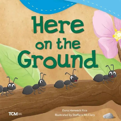 Here on the Ground by Dona Herweck Rice, Steffane McClary
