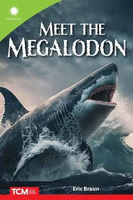 Meet the Megalodon by Eric Braun