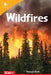 Wildfires by Georgia Beth