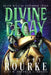 Divine Decay by E. Rourke