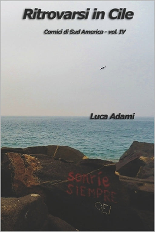 Ritrovarsi in Cile by Luca Adami