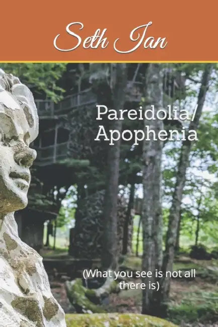 Pareidolia/ Apophenia: (What you see is not all there is) by Seth Ian