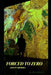 Forced to Zero: A Life In Chimera by Paul Drewer