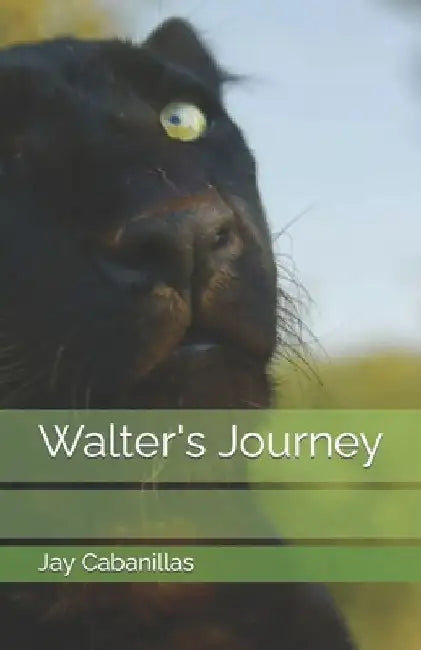 Walter's Journey by Jay F. Cabanillas