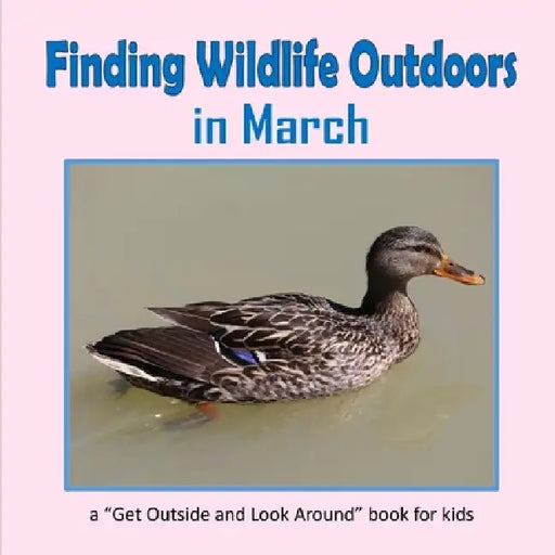 Finding Wildlife Outdoors in March: Wandering on trails to find amazing animals and beautiful plants by C. Mahoney