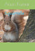 Squirrels by Arjun Kumar