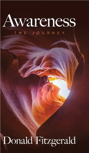Awareness: The Journey by Donald Fitzgerald
