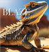 Blaze: The Search for Jasira by Bodie Coker