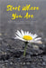 Start Where You Are: A Guide to surviving sexual and mental abuse by Williams, Brigitte
