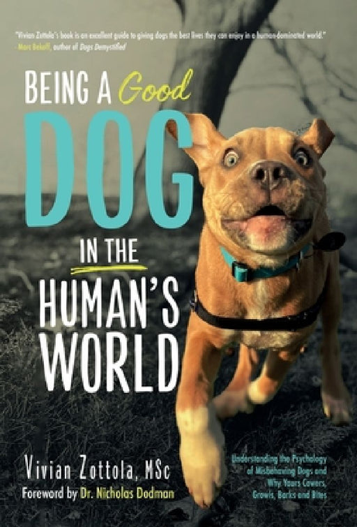 Being A (Good) Dog In The Human's World: Understanding the Psychology of Misbehaving Dogs and Why Yours Cowers, Growls and Bites by Vivian Zottola Msc