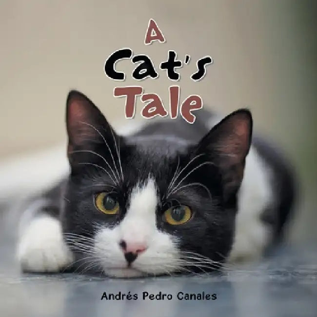 A Cat's Tale by Andrés Pedro Canales