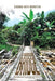 A Narrow Bridge: Awakening From Mental Illness by Deborah Ruth Bronstein