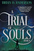 A Trial of Souls by Brian D. Anderson