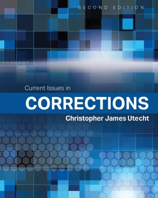 Current Issues in Corrections by Christopher James Utecht