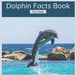 Dolphin Facts Book For Kids: 50 Interesting Facts About Dolphins by Harmony Wells