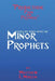 Prediction: Pain & Promise: verse by verse notes on the Minor Prophets by Matthew L. Martin