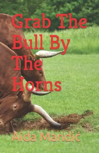 Grab The Bull By The Horns by Aida Mandic