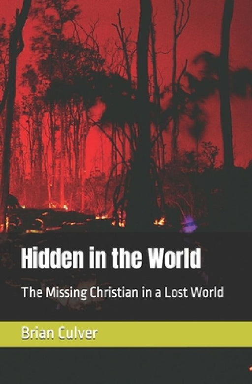 Hidden in the World: The Missing Christian in a Lost World by Diana Culver