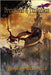 Dragones & Tinieblas: Edición especial by Piña Cruz, Javier