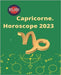 Capricorne. Horoscope 2023 by Rubi, Alina a.